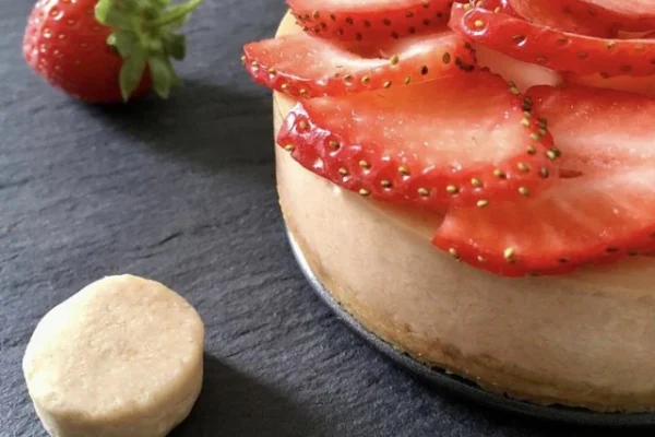 Vegan Cheesecake with Nibble Simply